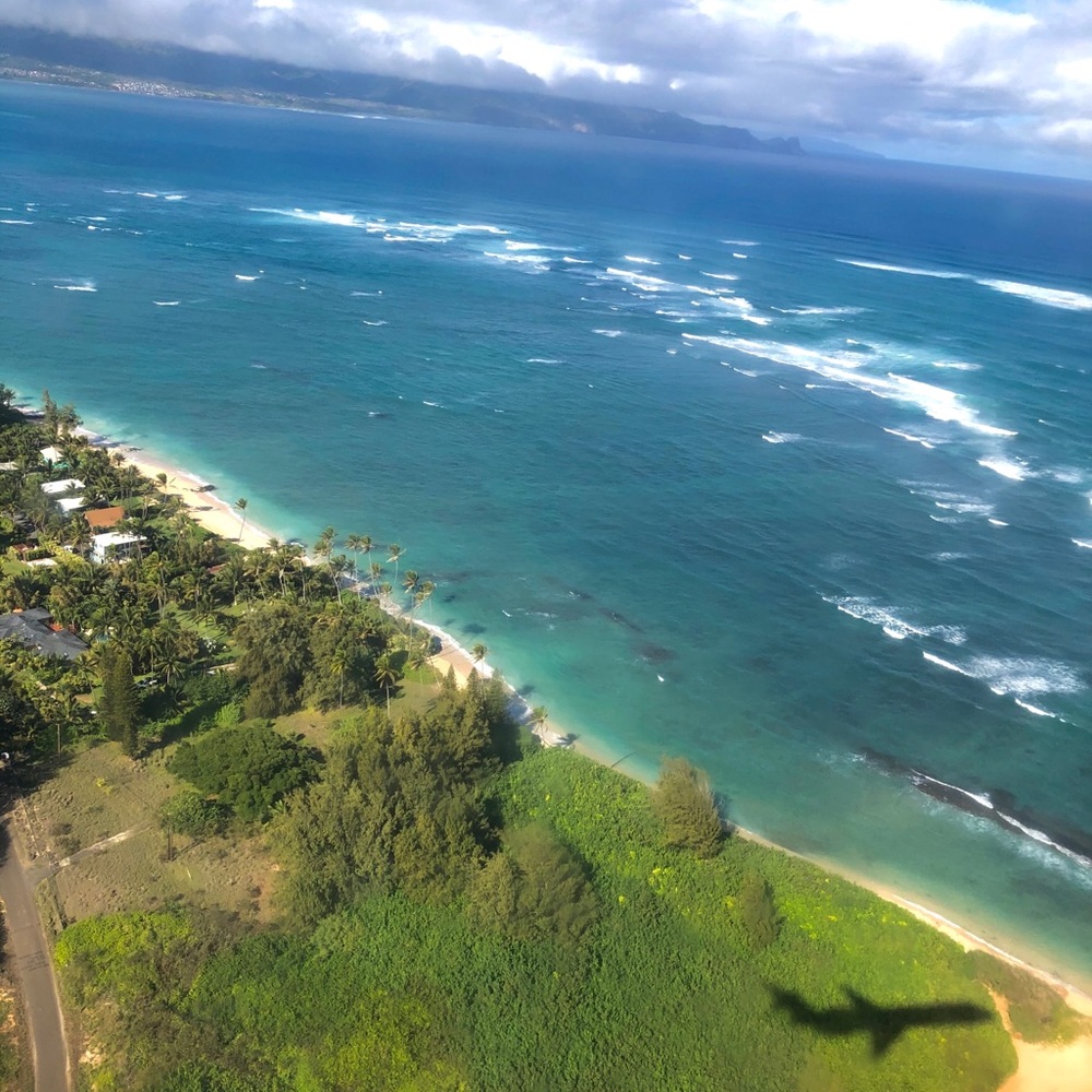 🍹🍍Maui 📷 🌿🌸 🌈 - Picture 7 of 8